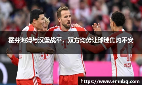 霍芬海姆与汉堡战平，双方均势让球迷焦灼不安
